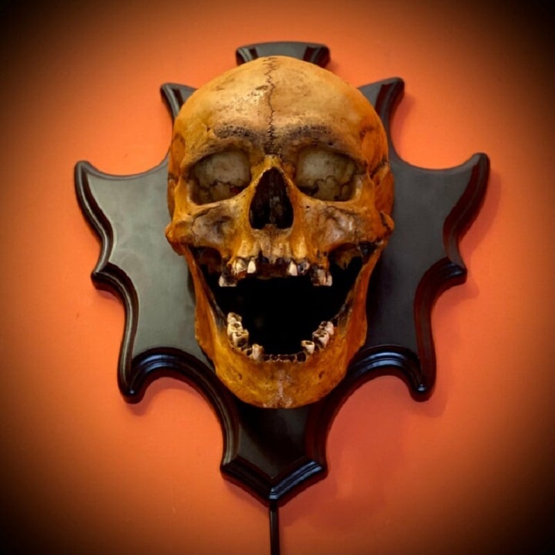 Illuminated Skull Night Light with Sound Effects and Eerie Glow | Thomler