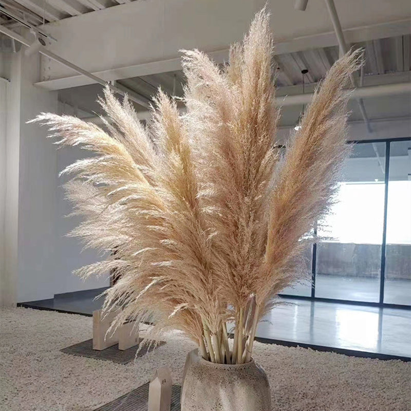 Decorative Dried Grass Plumes 15.7–29.5 in Natural Home Wedding Vase Arrangement | Thomler