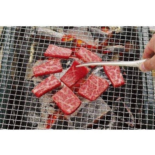 Meat Tongs Stainless Steel 24.0 cm Hygienic Yakiniku Barbecue Grilling Precision Raw Meat Handling BBQ Tool | Thomler