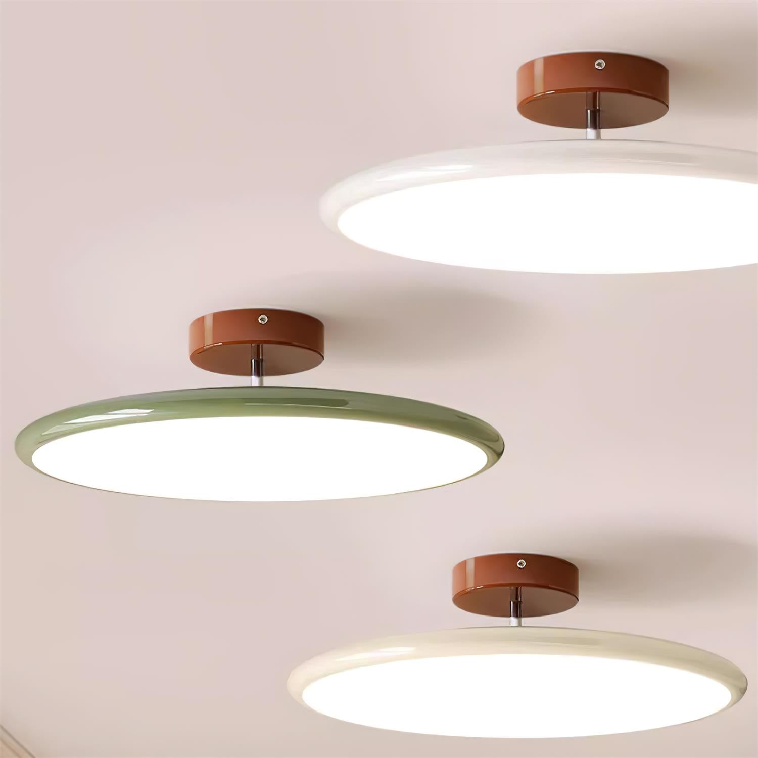 Ceiling Lamp Acrylic 11.8 in Flat Disc 32W Warm White Modern Living Room Dining Area Lighting | Thomler
