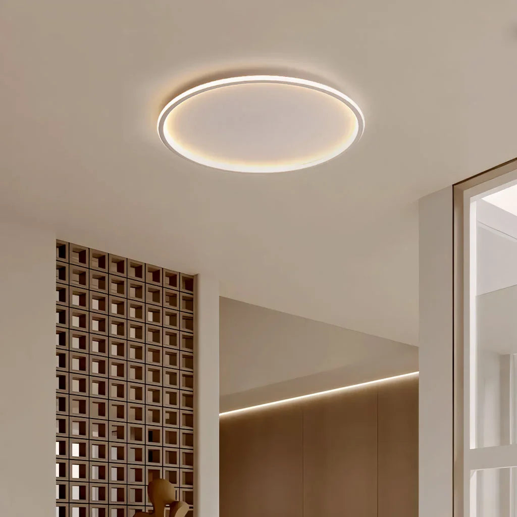 Ceiling Light Metal LED 12 in White Black Modern Living Room Bedroom Pendant Lamp Adjustable Color Temperatures | Thomler