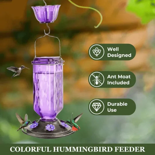 Glass Hummingbird Feeder with 6 Feeding Ports & Ant Moat – 24 fl oz Capacity for Backyard Birds | Thomler