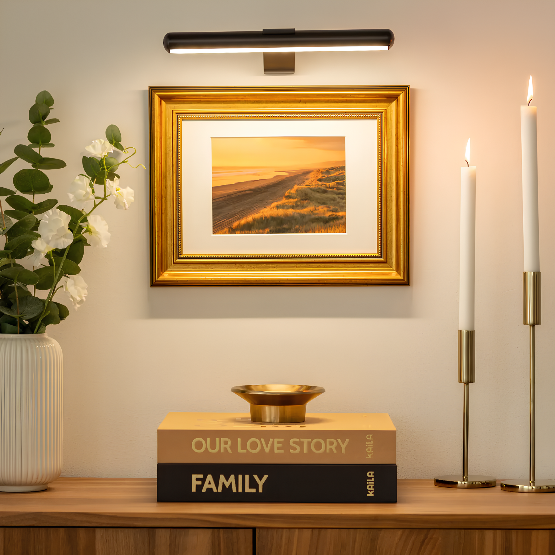 Picture Light Metal LED 360° Rotating USB Rechargeable Indoor Artwork Wall Lamp Wireless Dimmable Frame Lighting | Thomler