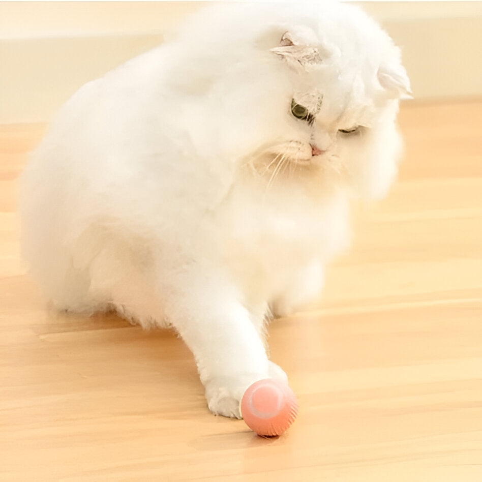 Automated Rolling Ball & Feather Prey Chase Toy for Cats – Motion-Activated Smart Play Mode | Thomler