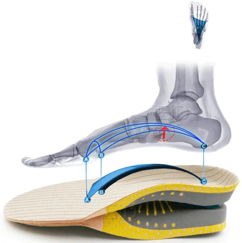 Cushioned Arch Support Insoles with Gel Padding for All-Day Comfort | Thomler