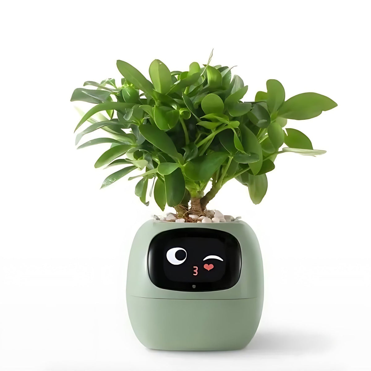 Self-Watering Smart Planter Pot with App Control & Emoji Display for Indoor Plants | Automatic Plant Care System with Water Level Alerts & | Thomler