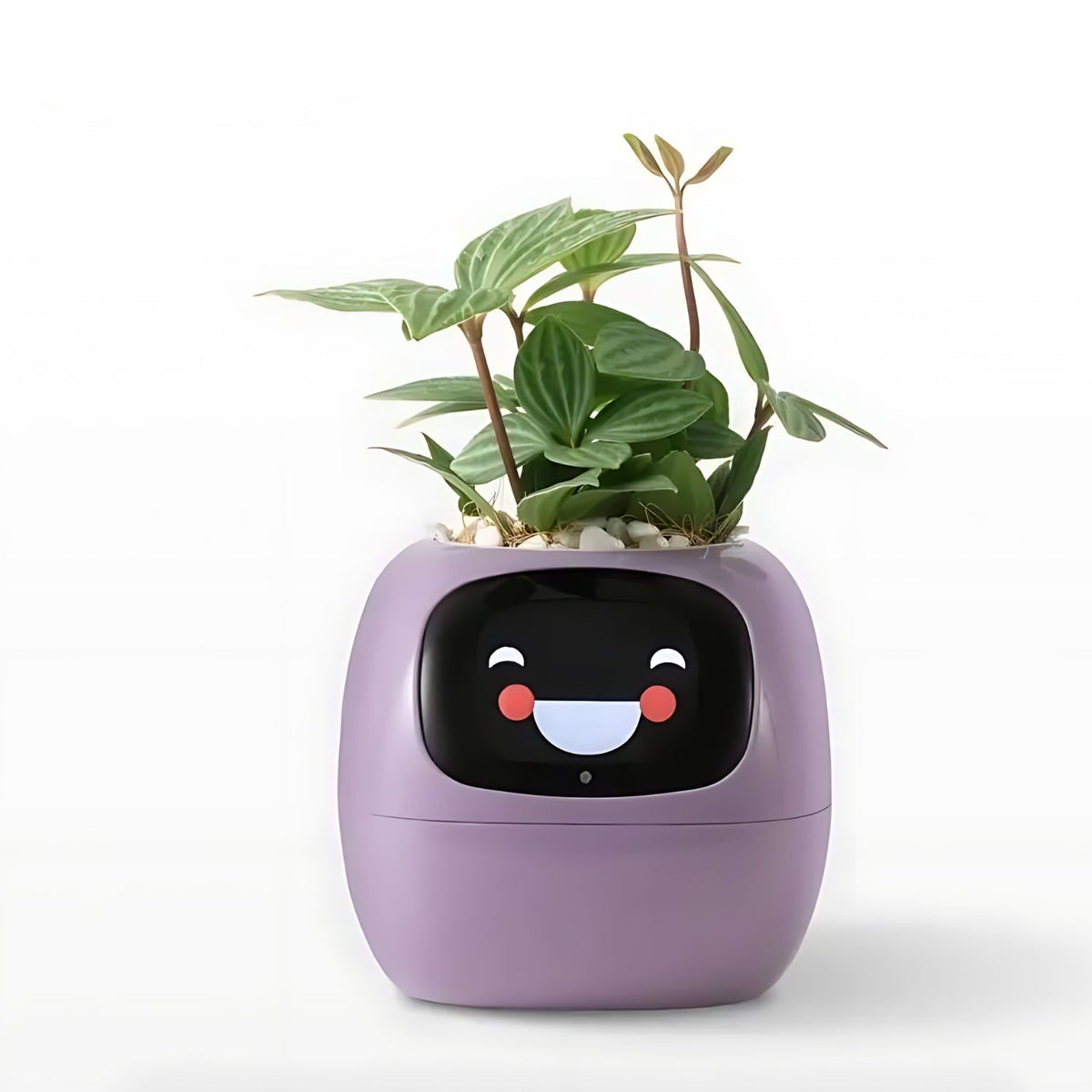 Self-Watering Smart Planter Pot with App Control & Emoji Display for Indoor Plants | Automatic Plant Care System with Water Level Alerts & | Thomler