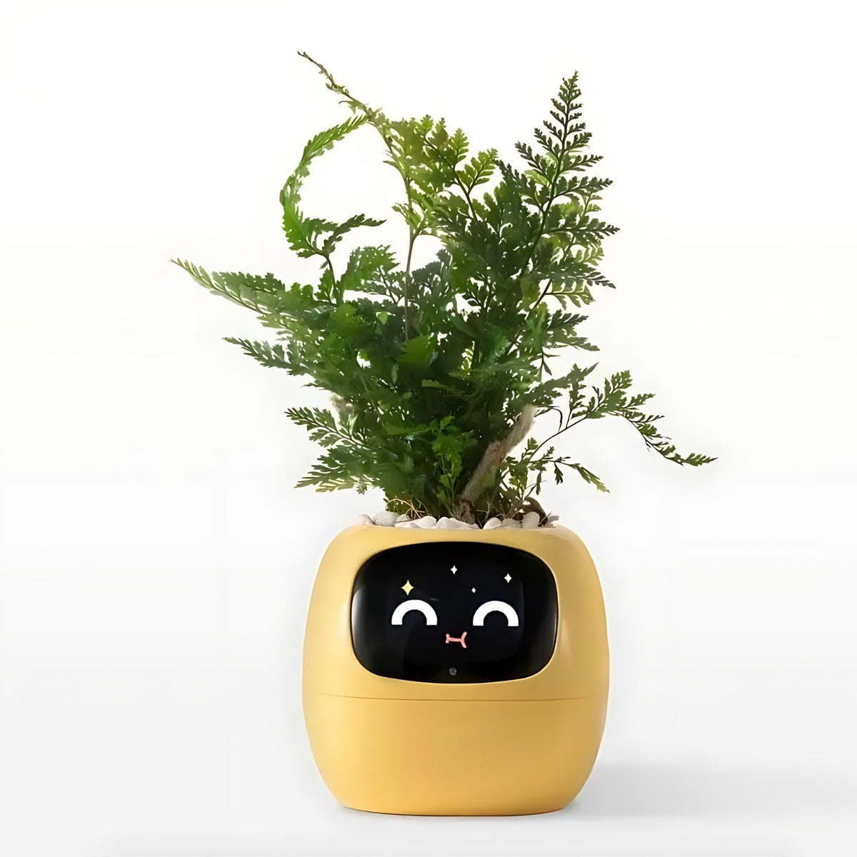 Self-Watering Smart Planter Pot with App Control & Emoji Display for Indoor Plants | Automatic Plant Care System with Water Level Alerts & | Thomler