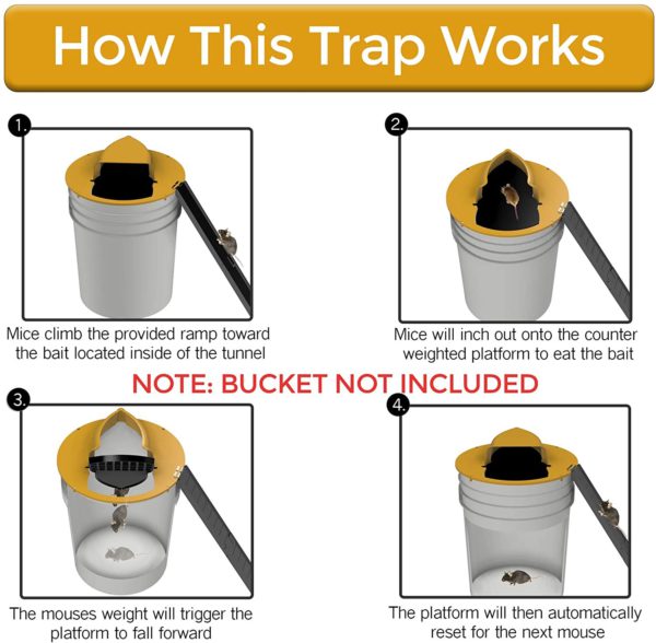 Humane Bucket-Top Rodent Catcher for Mice & Young Rats – Reusable Live Trap with Weighted Ramp – Safe for Pets & Kids | Thomler