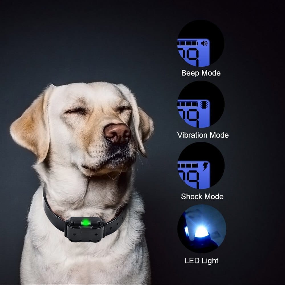 Remote Dog Training System with Adjustable Vibration & Tone – 2600 ft Wireless Range for Obedience & Behavior Correction | Thomler