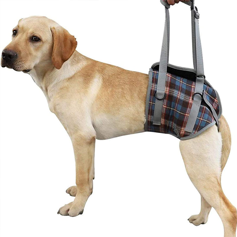 Rear Leg Support Harness for Dogs – Adjustable Lift Sling for Hip Stability, Arthritis & Mobility Assistance | Thomler
