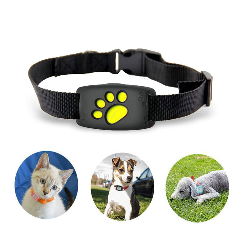 GPS Pet Tracker Collar for Cats & Small Dogs with Real-Time Location Monitoring, Geo-Fence Alerts, IP67 Waterproof Design | Thomler