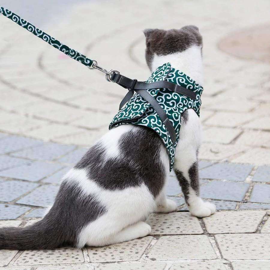 Cat Walking Harness & Leash Set | Breathable Mesh Vest Jacket for Outdoor Adventures | Adjustable No-Pull Design for Cats & Small Dogs | Thomler
