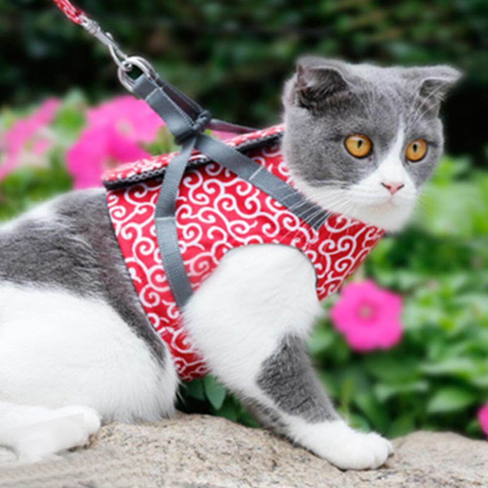 Cat Walking Harness & Leash Set | Breathable Mesh Vest Jacket for Outdoor Adventures | Adjustable No-Pull Design for Cats & Small Dogs | Thomler