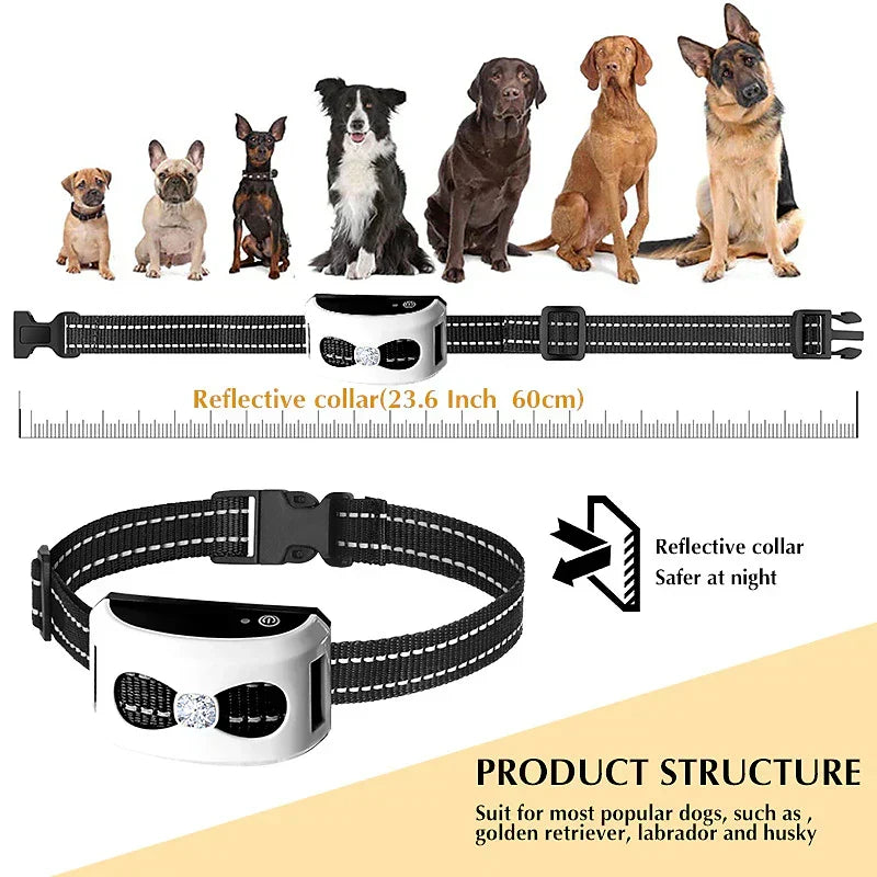 Wireless Dog Fence & Training Collar 2-in-1 System - Rechargeable Pet Containment with Adjustable Boundary up to 984 Feet - Waterproof | Thomler