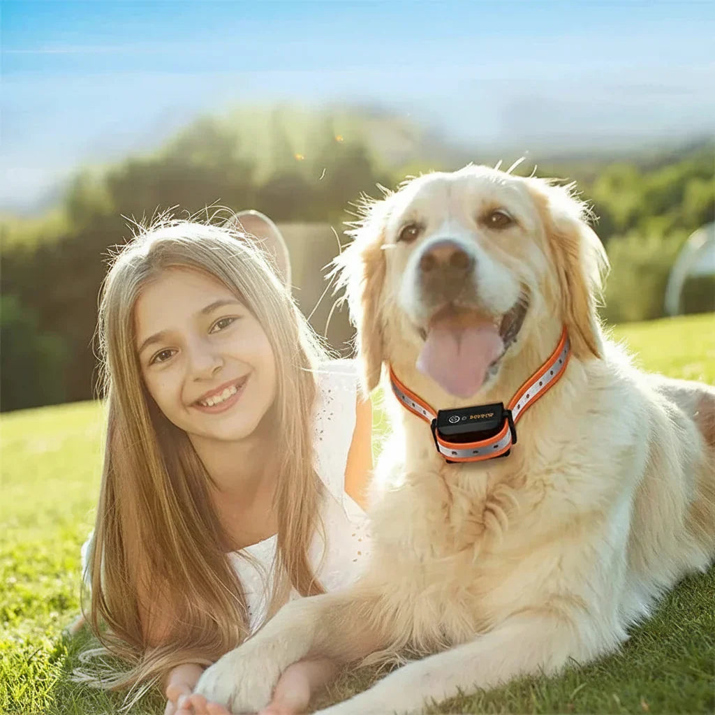 Dog Training Collar 1000.0 m Range Adjustable Remote Behaviour Training Waterproof Rechargeable Vibration Sound Shock Collar | Thomler