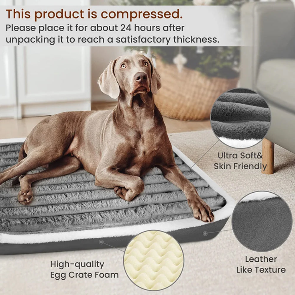 Orthopedic Dog Bed with Egg Crate Foam & Washable Cover for Joint Support & Senior Pets | Thomler