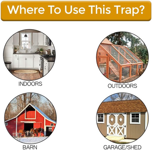 Humane Bucket-Top Rodent Catcher for Mice & Young Rats – Reusable Live Trap with Weighted Ramp – Safe for Pets & Kids | Thomler
