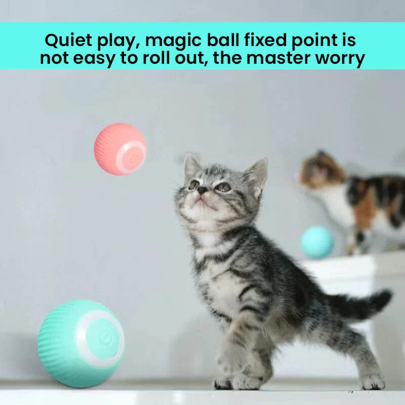 Automated Rolling Ball & Feather Prey Chase Toy for Cats – Motion-Activated Smart Play Mode | Thomler