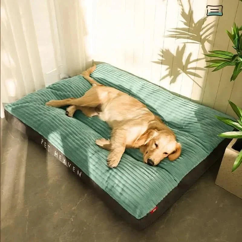 Orthopedic Dog Bed with Memory Foam Support for Joint Relief & Comfort | Medium Large XL Sizes for Senior Dogs | Washable Plush Pet | Thomler