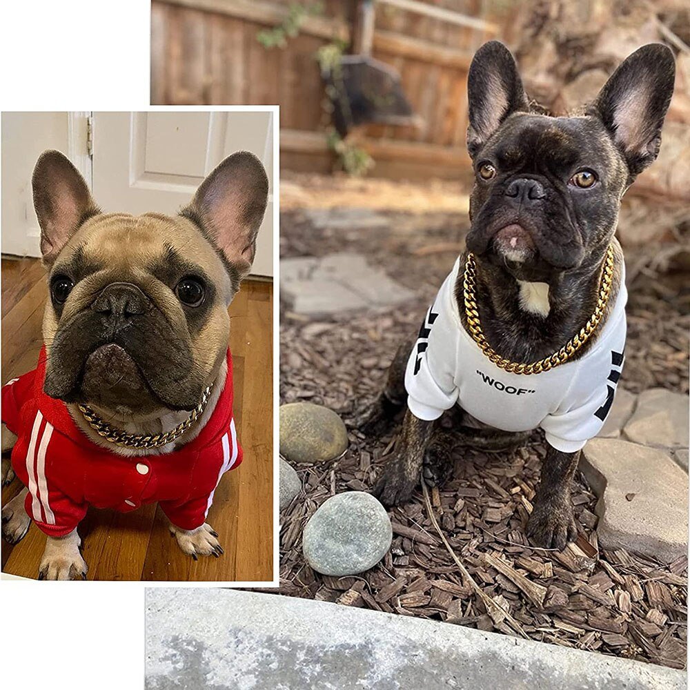 Metal Link Training Collar for Dogs – Adjustable Chain Leash Connector for Small to Large Pets | Thomler