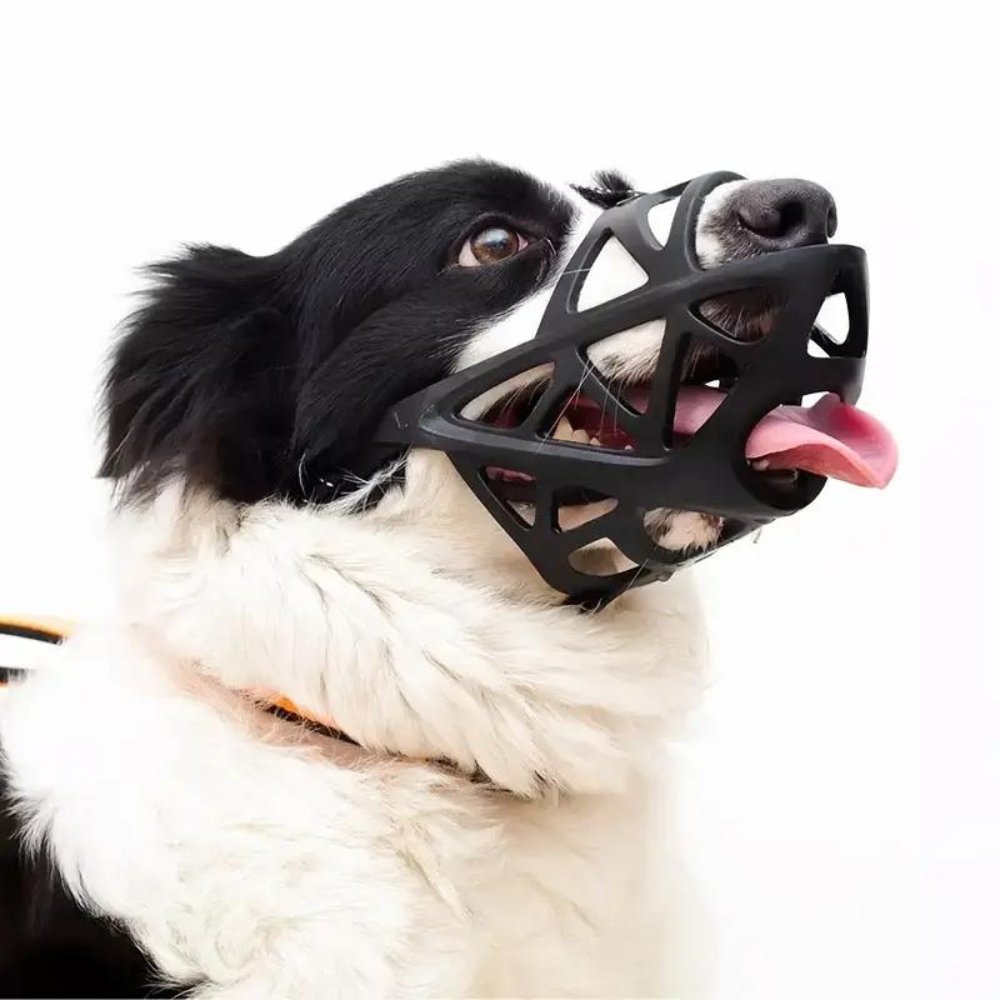 Soft Fabric Dog Muzzle for Training, Vet Visits & Grooming – Breathable Mesh Design for Small to Large Breeds – Adjustable Secure Fit | Thomler