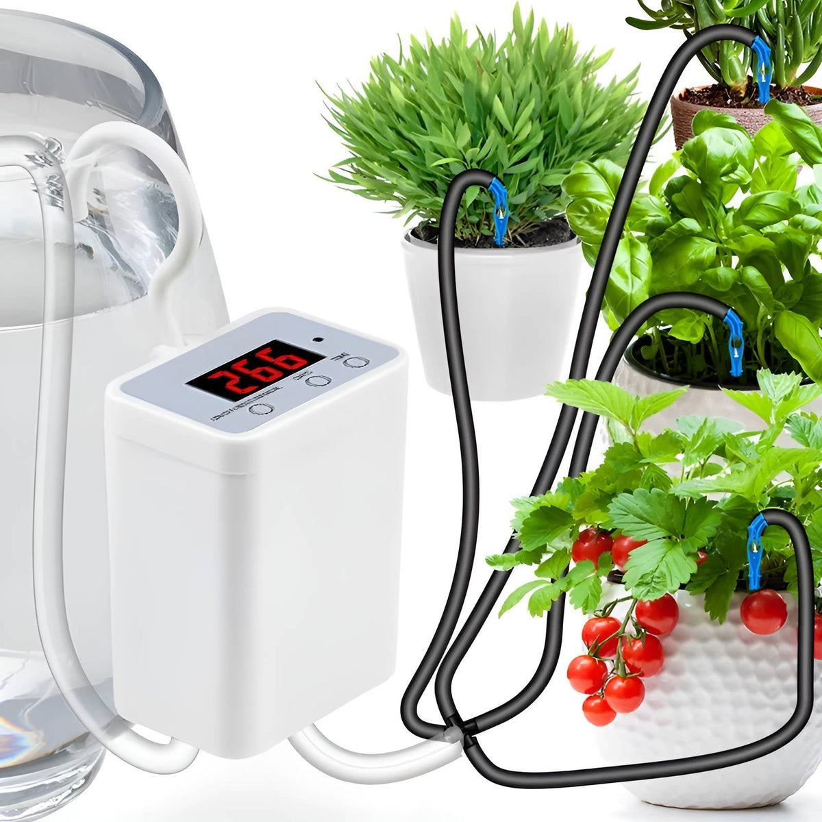 Rechargeable Plant Irrigation Timer with LCD Display for Indoor Gardens, Patios & Balconies – Multi-Pot Drip System with Programmable | Thomler