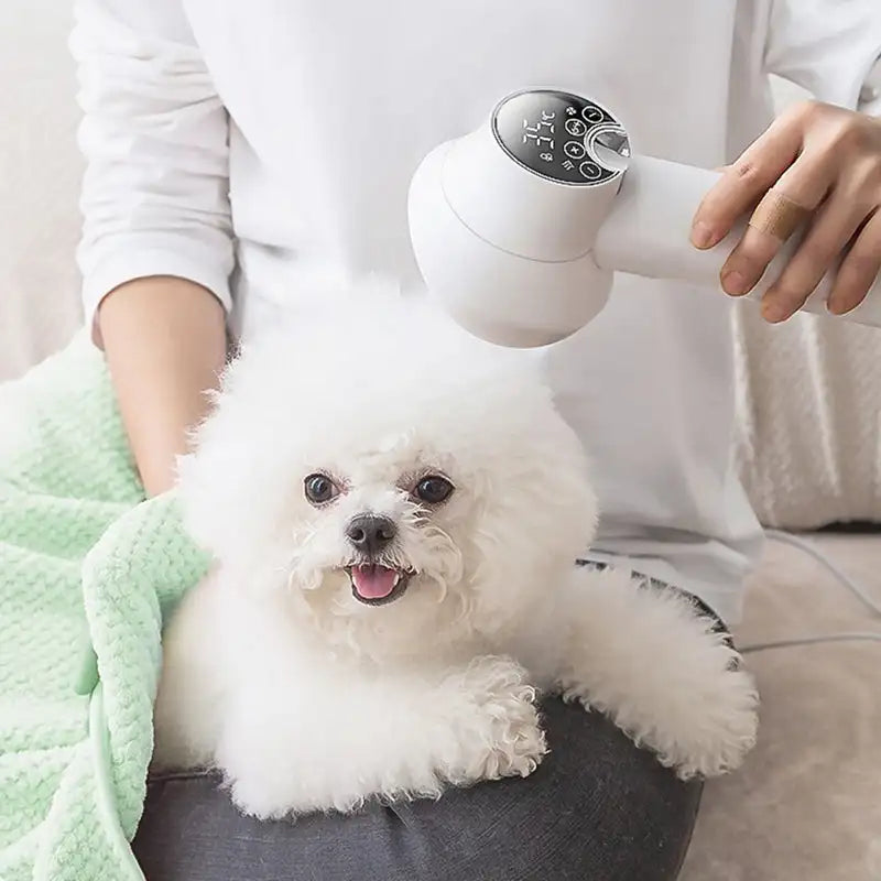 Heated Slicker Brush Pet Blow Dryer with Ion Technology & 4-Speed Control for Dogs & Cats | Thomler