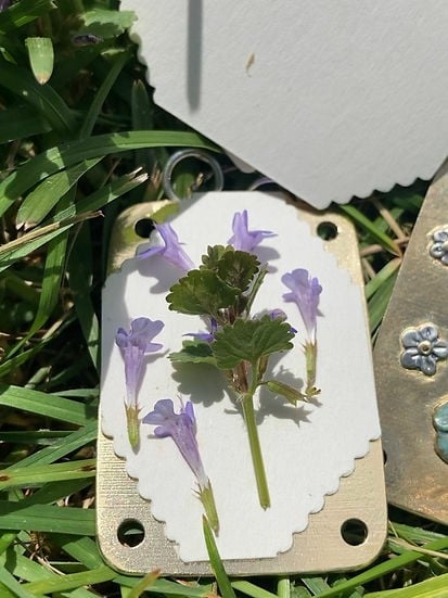 Compact Metal Botanical Press for Dried Flowers & Leaves – Portable Travel Herbarium Kit for Nature Journaling & Resin Crafts | Thomler