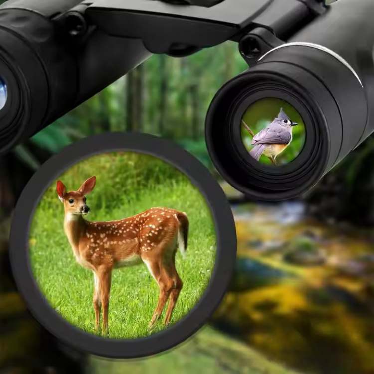 40x22 Compact Binoculars for Bird Watching Wildlife Hiking and Stargazing High-Definition Optics Lightweight Foldable Design | Thomler