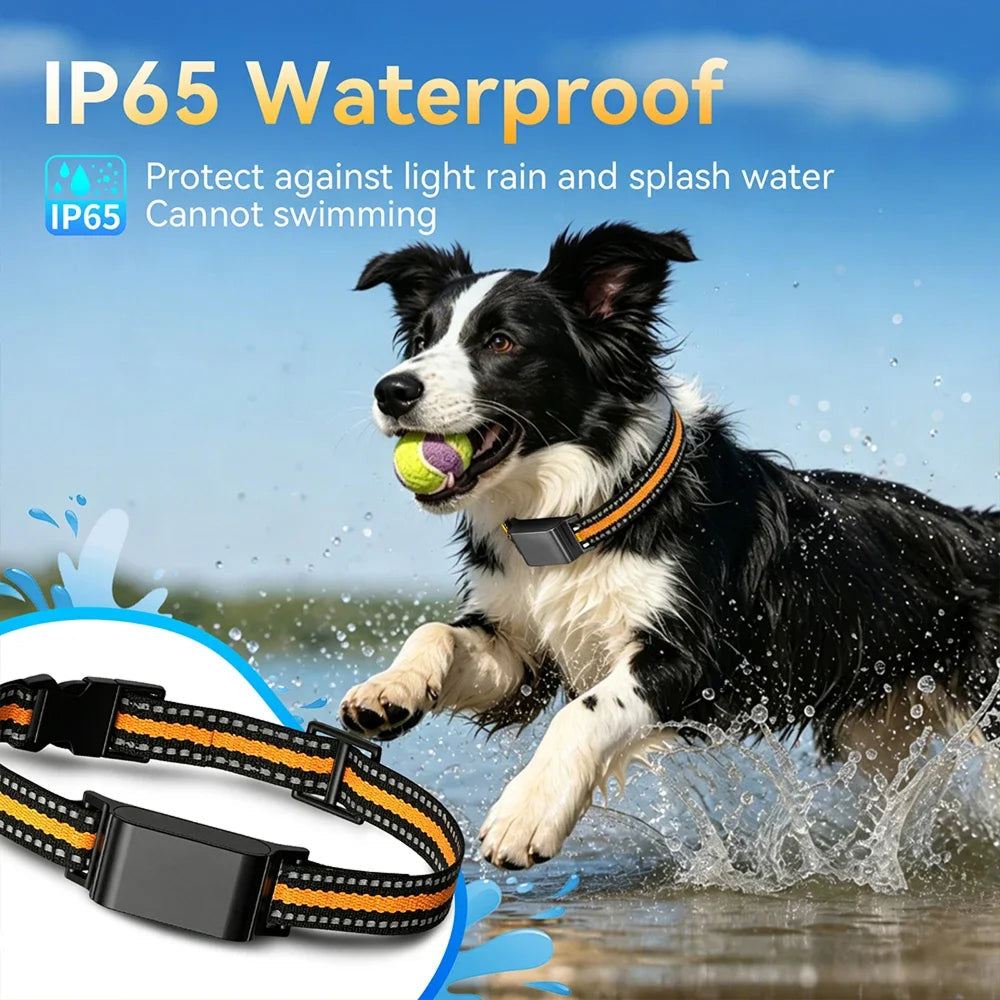 Collar-Mounted GPS Location Monitor for Cats with Geofence Alerts, Historical Route Logging & Multi-Technology Positioning for Indoor & | Thomler