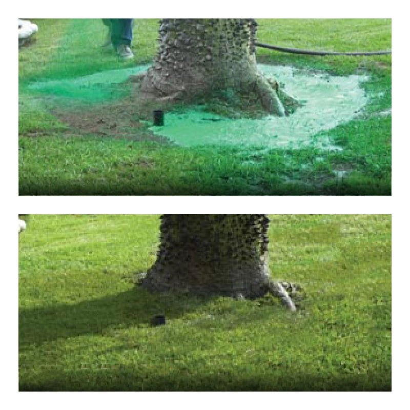 Grass Seed Coating Spray for Bare Lawn Patches – Hydro Seeding Solution for Yard Repair, Turf Restoration & Dense Green Coverage | Thomler