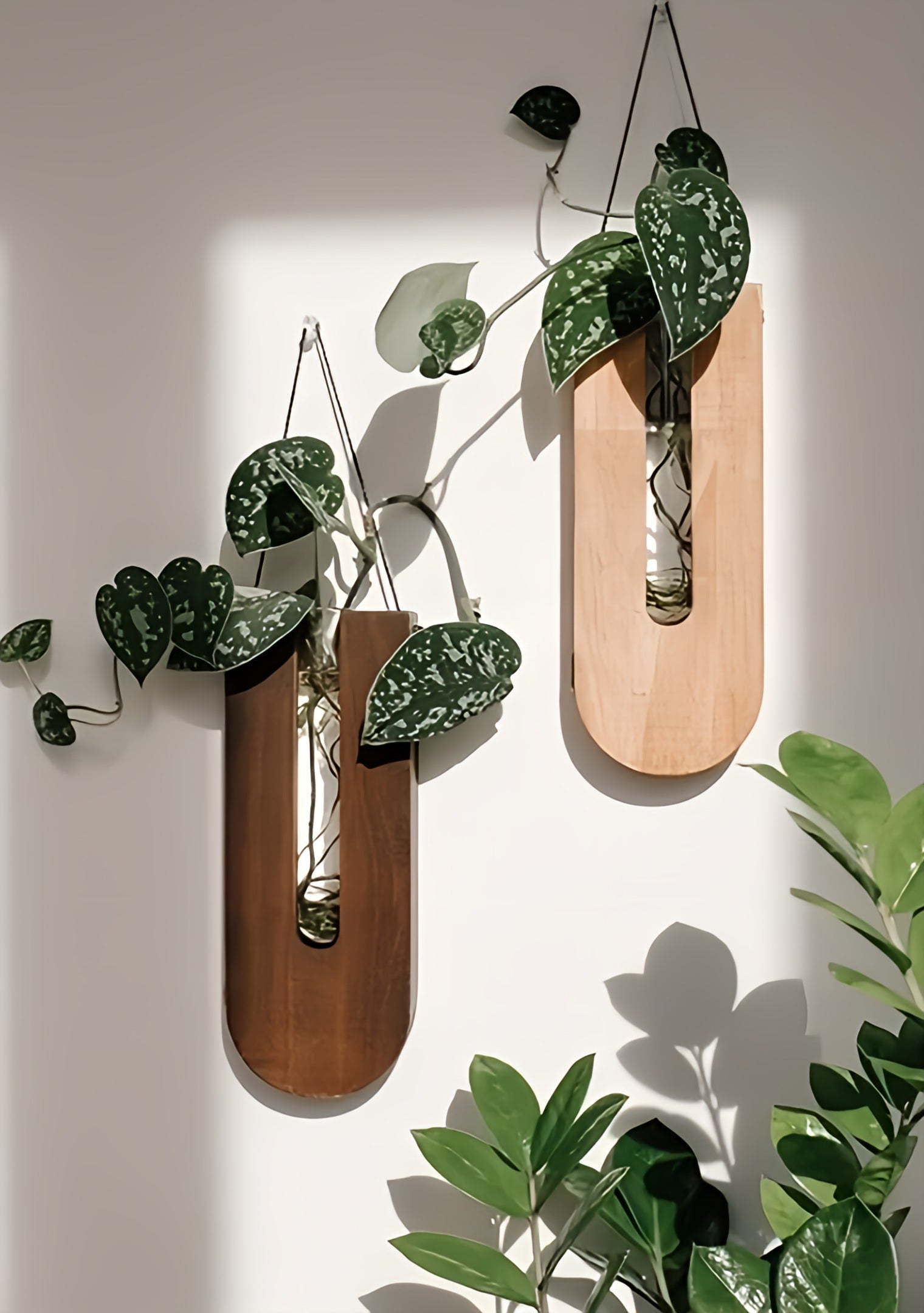 Wall Planter Pine Wood Set Of 7 Vertical Indoor Plant Holders For Dried Flowers And Succulents | Thomler
