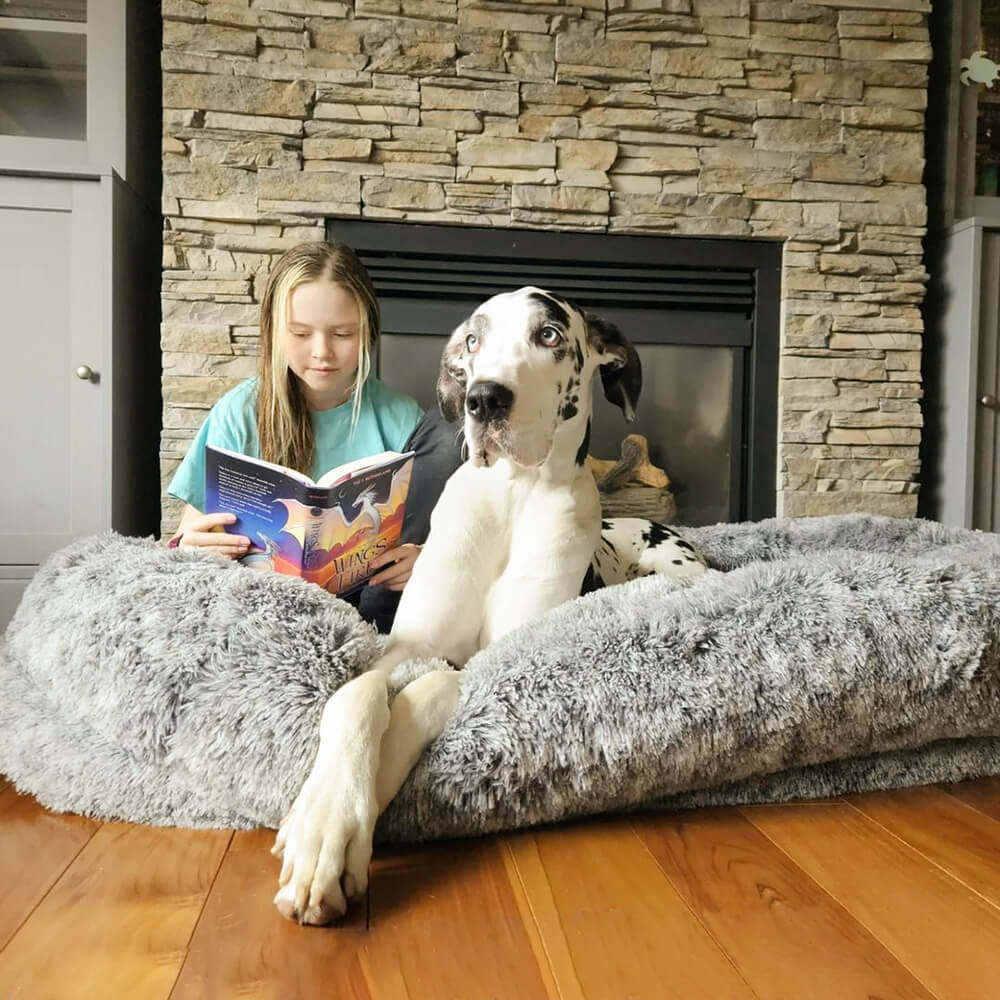 Round Bolster Pet Bed with Orthopedic Foam Support for Dogs | Raised Edge Calming Bed with Machine Washable Cover & Waterproof Liner | Thomler