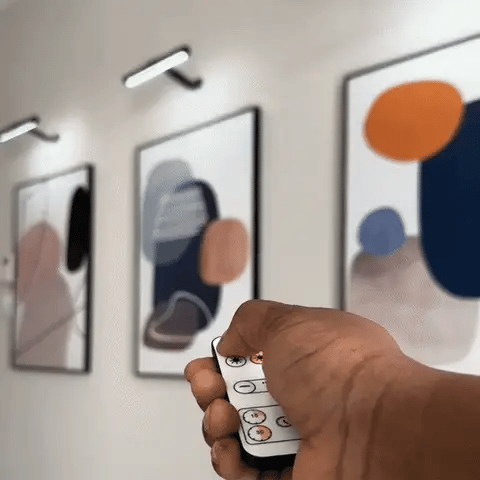 Picture Light Metal LED 360° Rotating USB Rechargeable Indoor Artwork Wall Lamp Wireless Dimmable Frame Lighting | Thomler