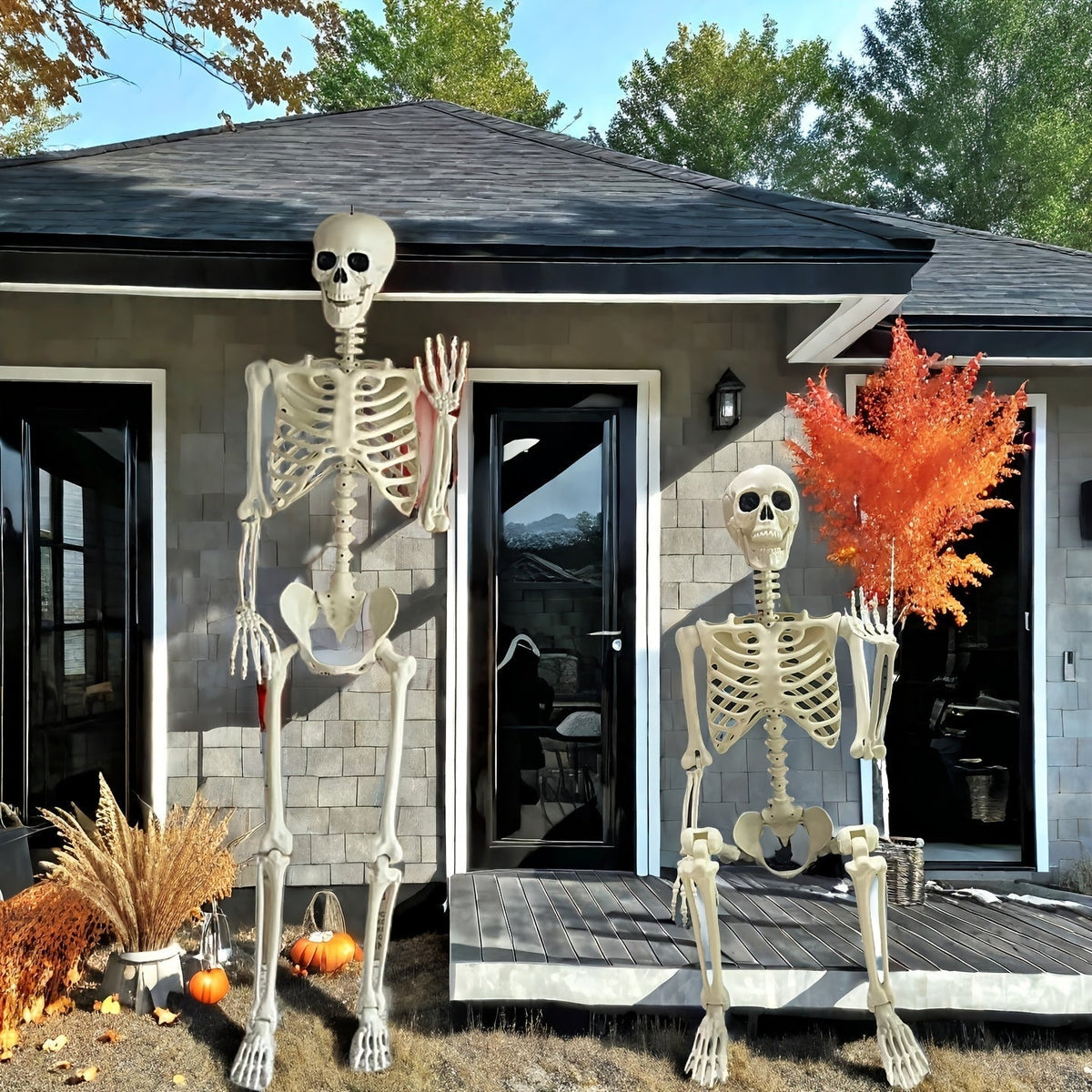 Life-Size 5.5 ft Poseable Skeleton Figure for Halloween Yard & Indoor Display | Thomler