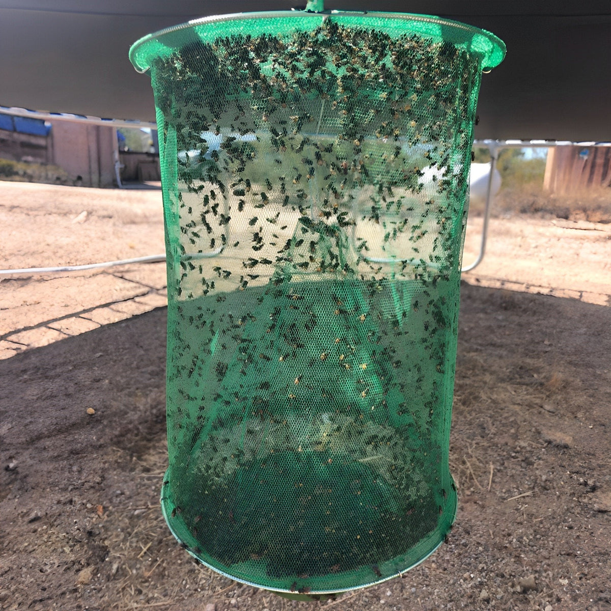 Reusable Outdoor Fly Catcher Trap with Natural Bait for Barns, Patios & Gardens | Thomler