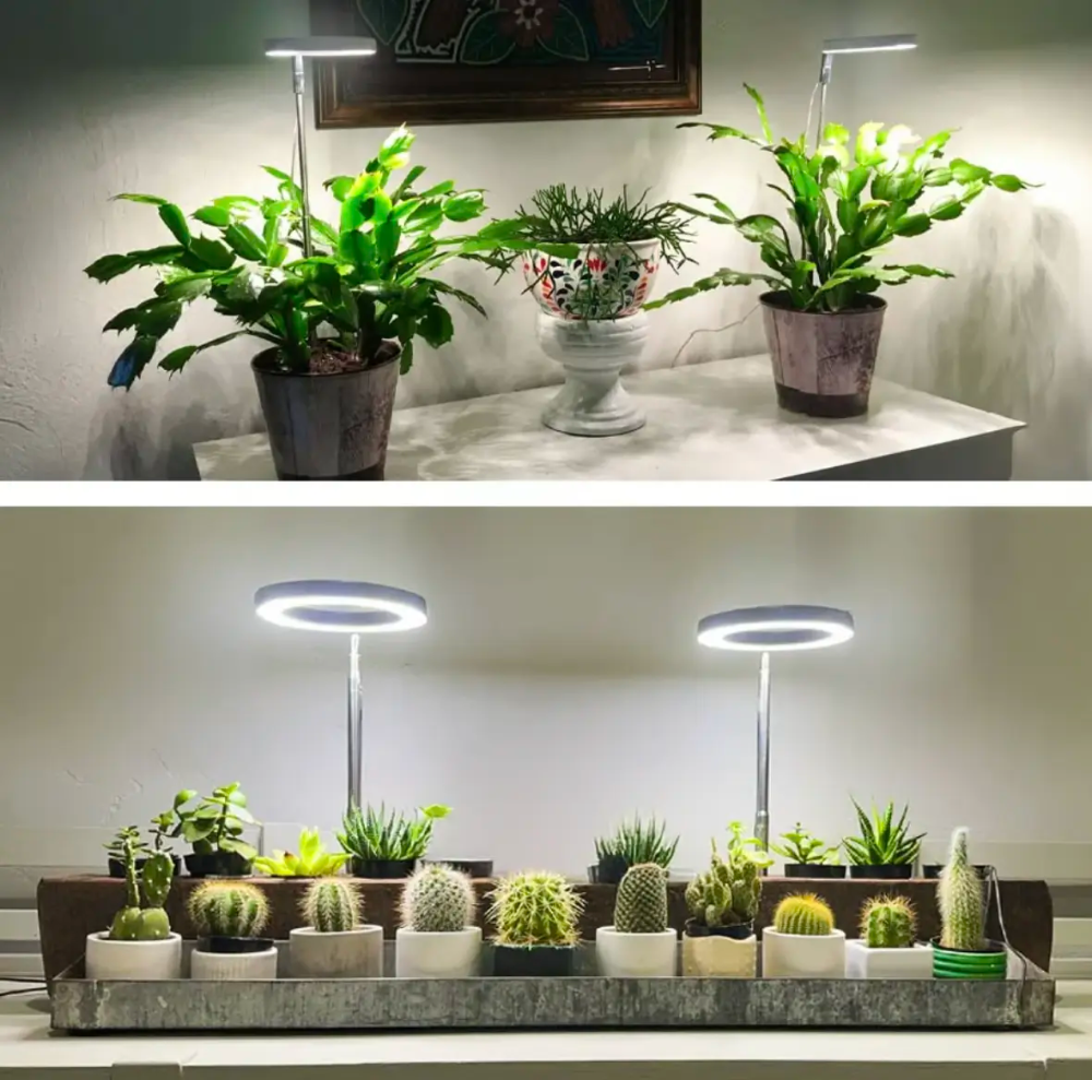 Adjustable Full-Spectrum Indoor Plant Grow Light with USB Power Stand | Thomler