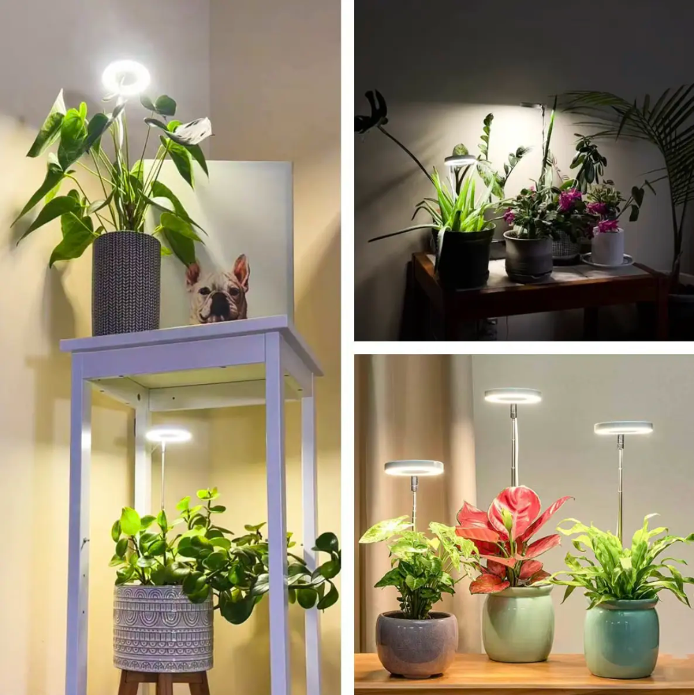 Adjustable Full-Spectrum Indoor Plant Grow Light with USB Power Stand | Thomler