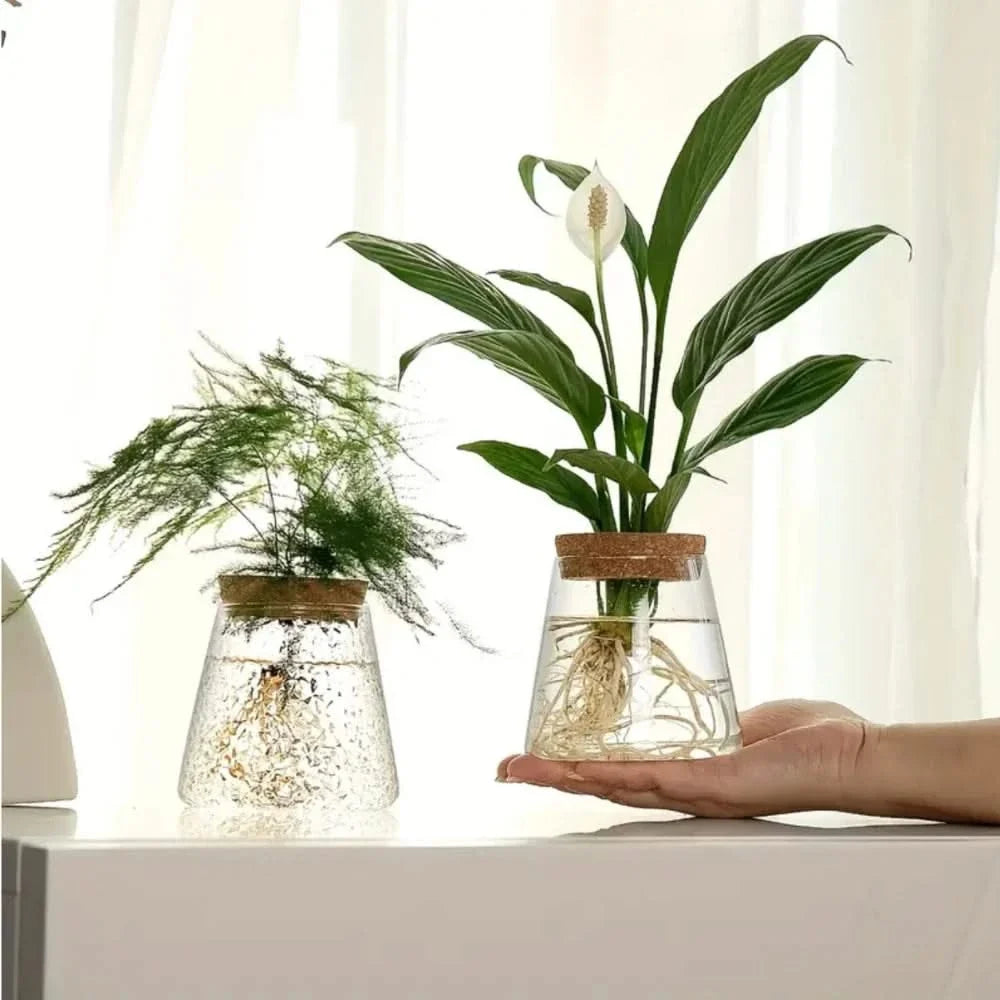 Transparent Desktop Water Planter with Natural Wood Lid – Tabletop Root Display Container for Cuttings & Greenery | Thomler