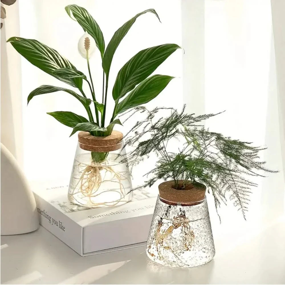 Transparent Desktop Water Planter with Natural Wood Lid – Tabletop Root Display Container for Cuttings & Greenery | Thomler