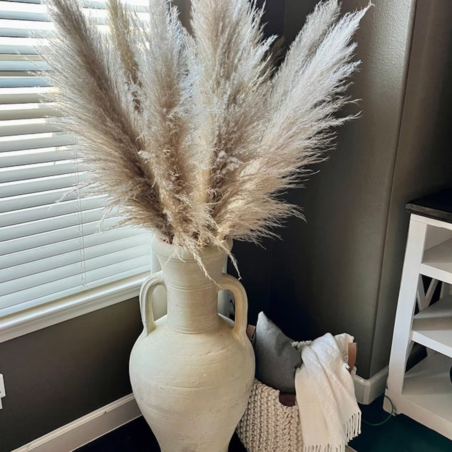 Decorative Dried Grass Plumes 15.7–29.5 in Natural Home Wedding Vase Arrangement | Thomler