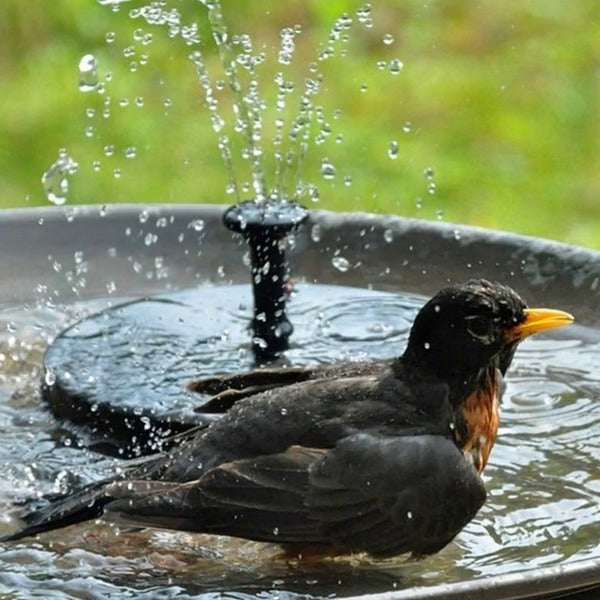 Floating Solar Fountain for Birdbaths, Ponds & Garden Water Features – 4 Spray Patterns, Eco-Friendly, No Wiring Needed | Thomler