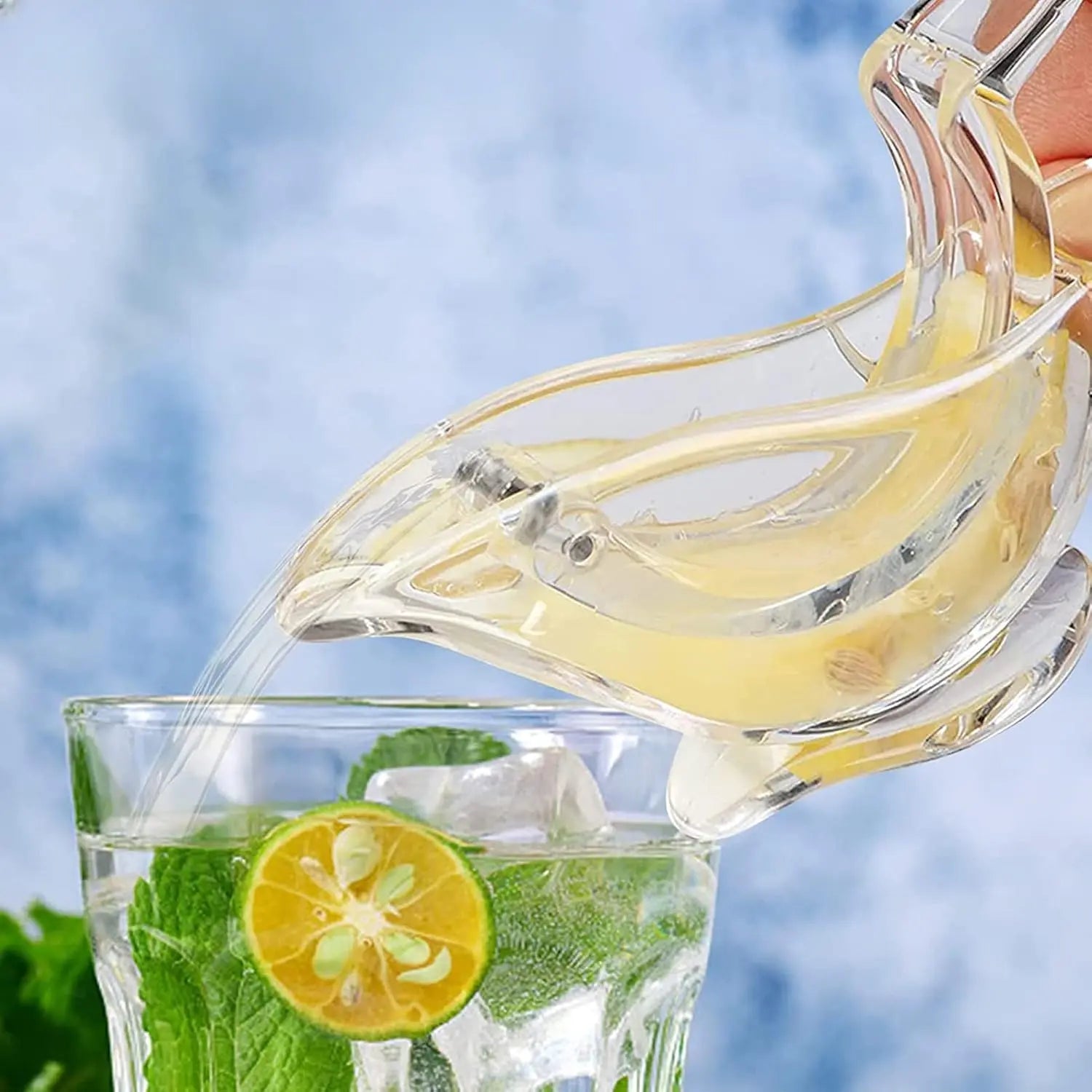Handheld Citrus Press for Fresh Lemon Lime Orange Juice Kitchen Tool Easy Squeeze No Mess Beverage Cocktail Drink Maker Tea Water Fish Salad | Thomler