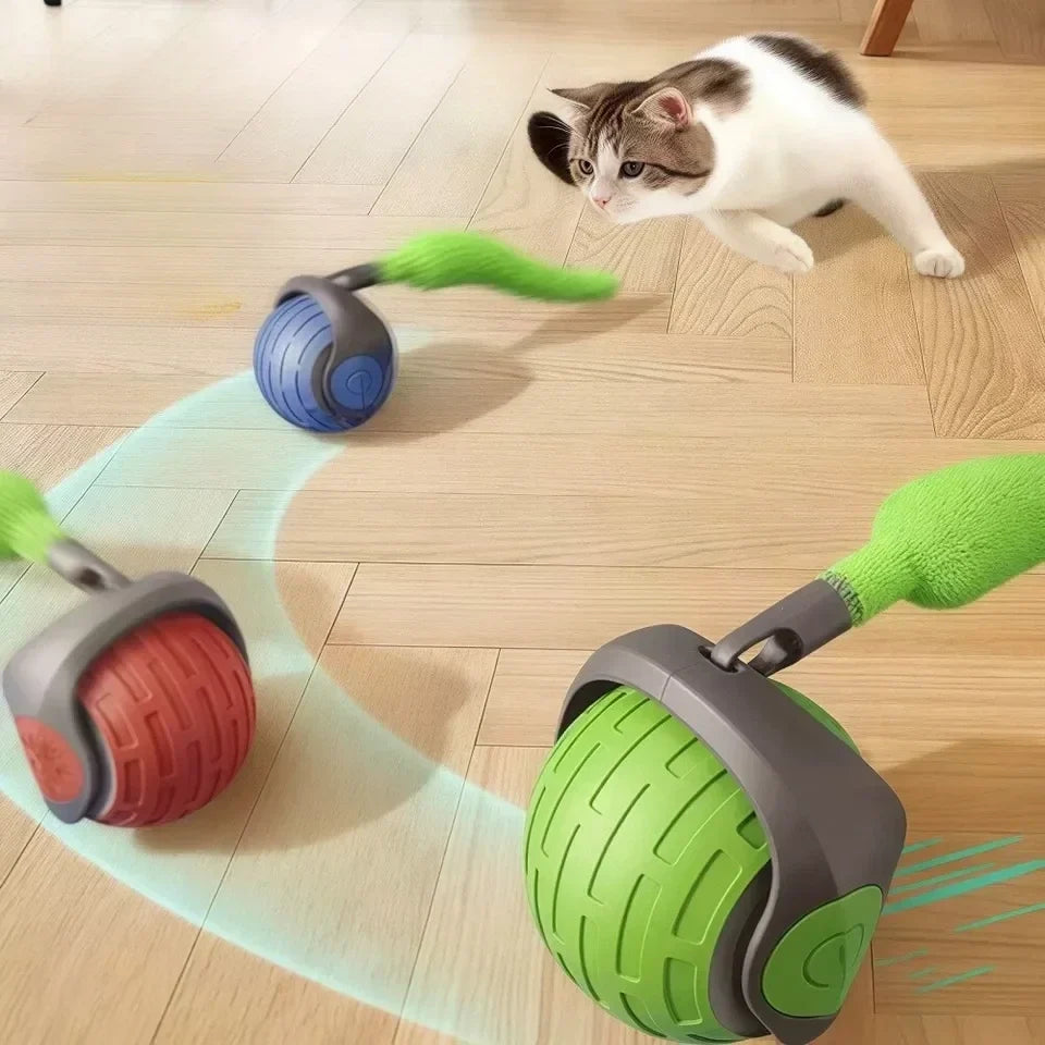 Self-Rolling Cat Ball with Feather Tail for Indoor Play – USB Rechargeable Obstacle-Sensing Pet Entertainment Toy | Thomler