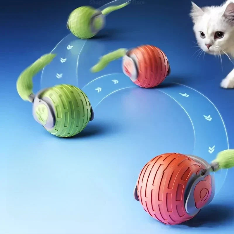 Self-Rolling Cat Ball with Feather Tail for Indoor Play – USB Rechargeable Obstacle-Sensing Pet Entertainment Toy | Thomler