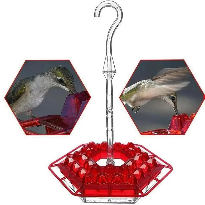 Hummingbird Feeder with Ant Moat for Outdoor Garden – 30 Flower Ports, Weather Resistant, Easy Fill Design for Backyard Bird Feeding | Thomler