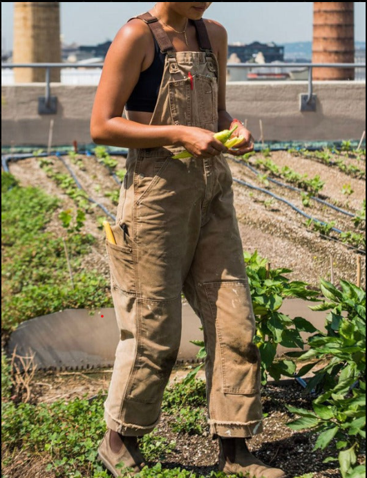 Unisex Garden Work Overalls with Adjustable Straps & Deep Tool Pockets for Yard Work, Planting, Weeding – Durable Washable Workwear for | Thomler