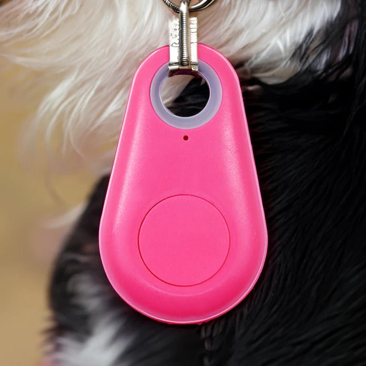 Bluetooth Pet Locator Tag for Dogs & Cats – Waterproof GPS Finder with Proximity Alerts, Safe Zone Notifications & Real-Time Tracking App | Thomler
