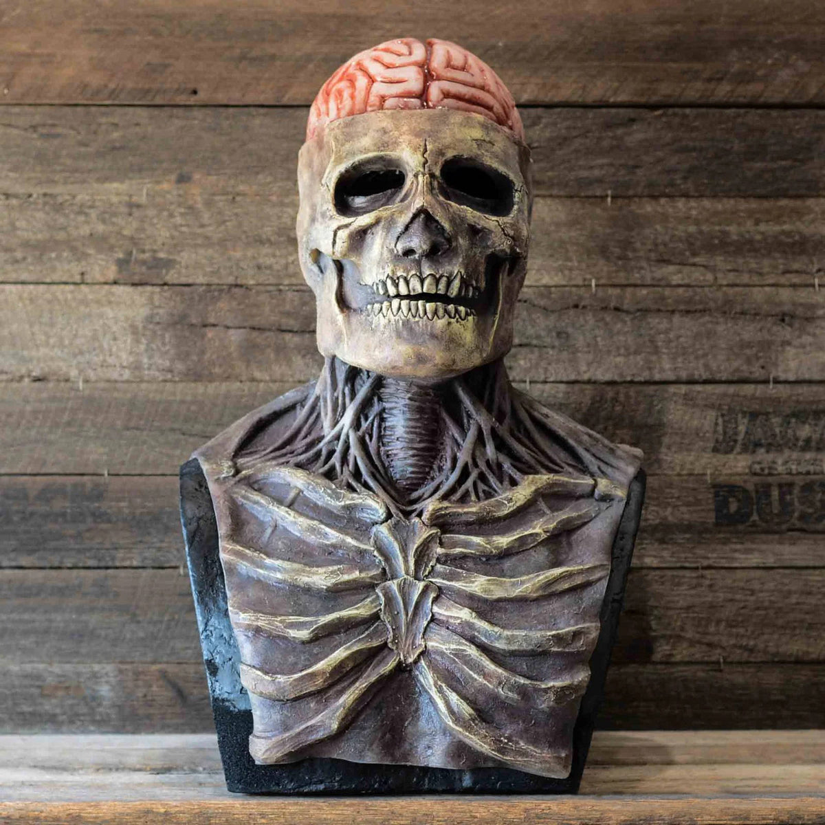 Movable Jaw Skull Face Mask – Full Head Latex Costume for Halloween Parties & Cosplay Events | Thomler